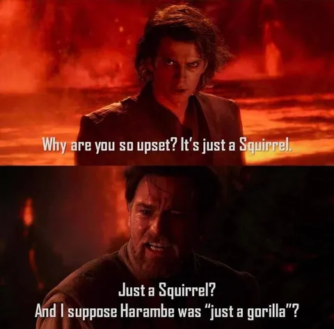 Just a Squirrel? Harambe Was Just a Gorilla