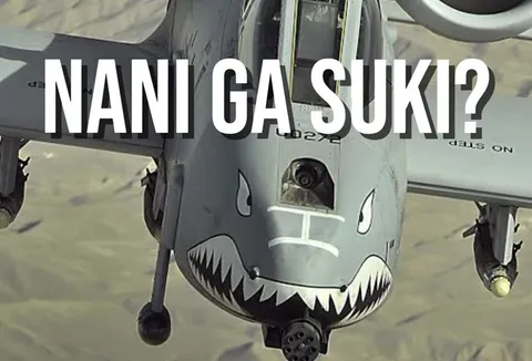 Warthog-chan Nani ga Suki