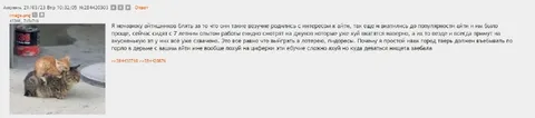 Ненавижу везучих айтишников
