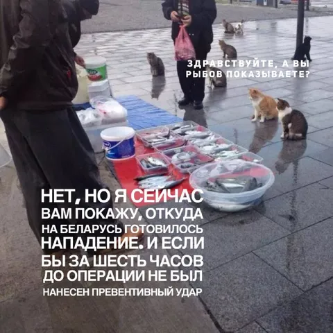 Коты продают рыбу