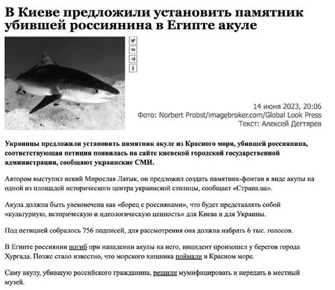 Памятник акуле, убившей россиянина