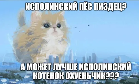 Исполинский котёнок охуенчик