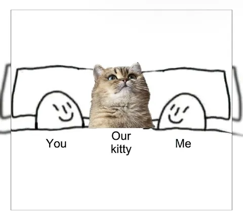 Our Kitty Between Us