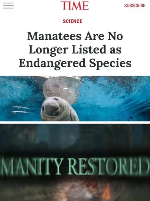 Manatees Are No Longer Endangered