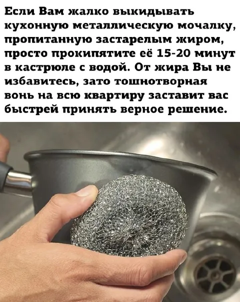 Мочалка, которая не сдаётся