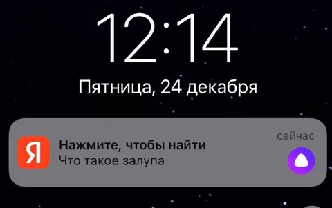 Яндекс ищет значение залупы
