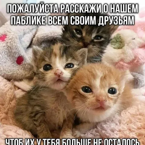 Расскажи о нашем паблике друзьям