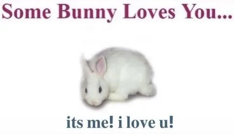 Some Bunny Loves You
