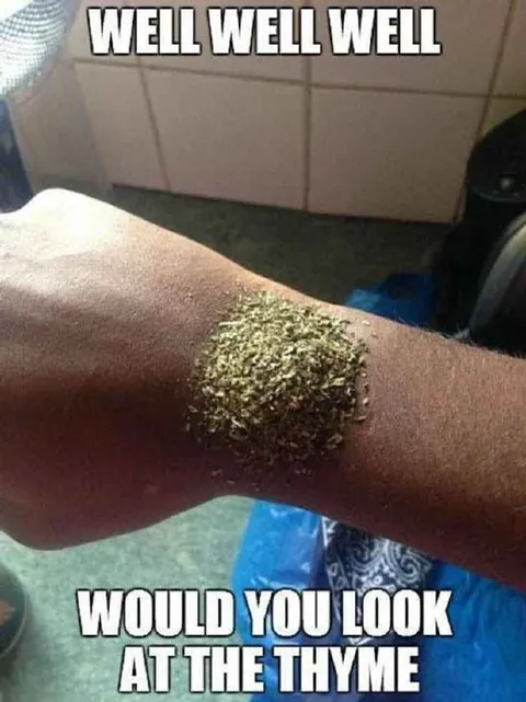 Would You Look at the Thyme