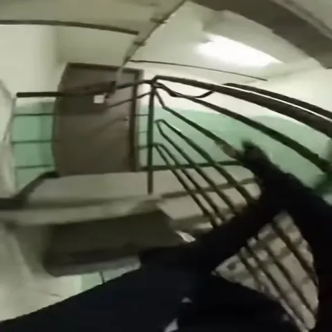 Кот ведёт по лестнице