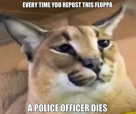Every Time You Repost This Floppa