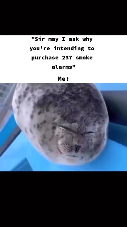 Buying 237 Smoke Alarms