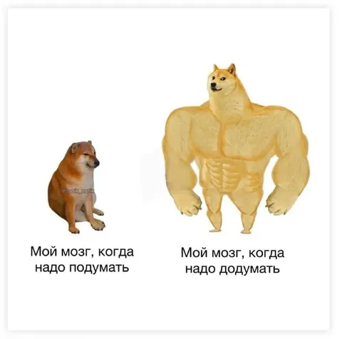 Мой мозг: подумать и додумать