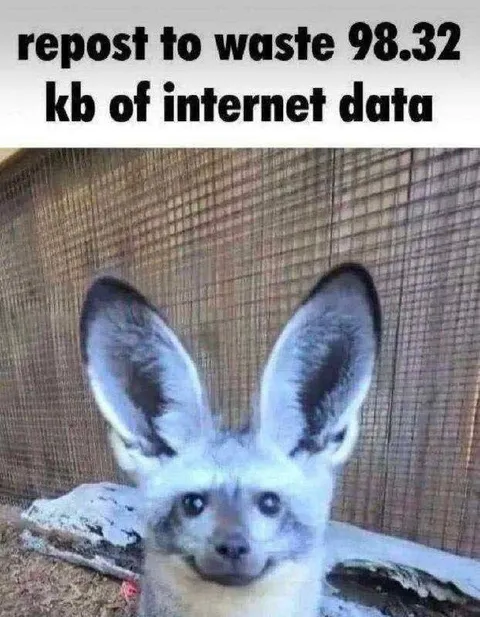 Repost to Waste Internet Data