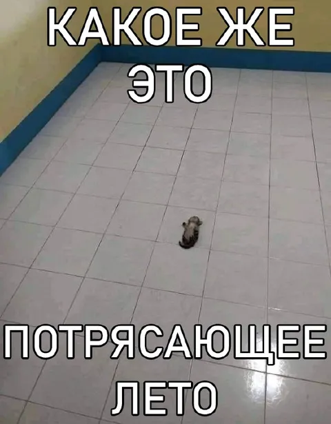 Потрясающее лето в бассейне
