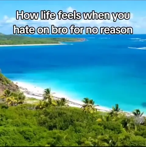 Life Feels Like Paradise