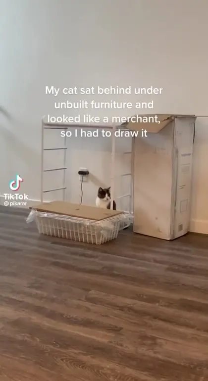 Cat Runs a Fruit Market