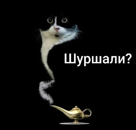 Кот-джинн спрашивает о шорохе