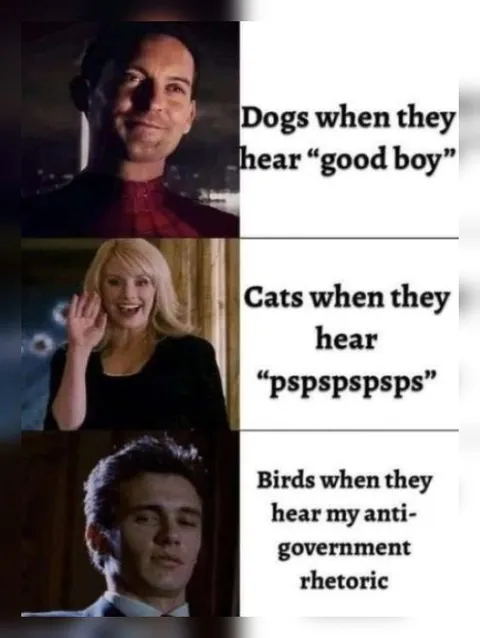 Animals React to Their Favorite Sounds