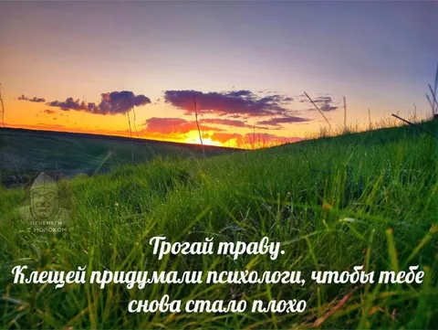 Трогай траву, клещи ждут