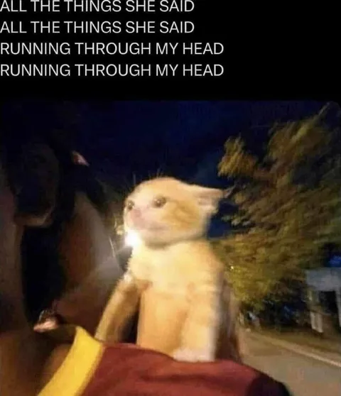 All the Things She Said