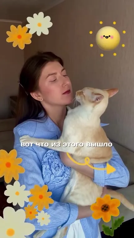Заказала роспись своего кота