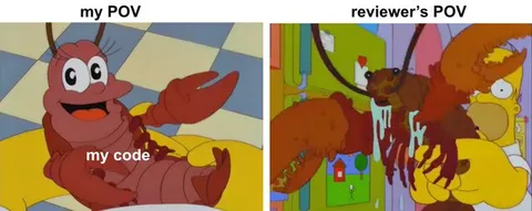 My Code vs Reviewer’s POV