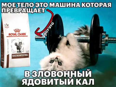 Тело превращает корм в яд