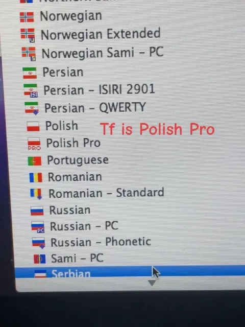 Tf is Polish Pro