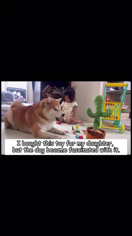 Dog Fascinated by Cactus Toy