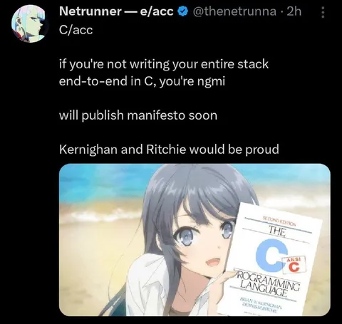 Entire Stack in C