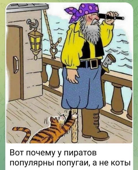 Почему у пиратов попугаи