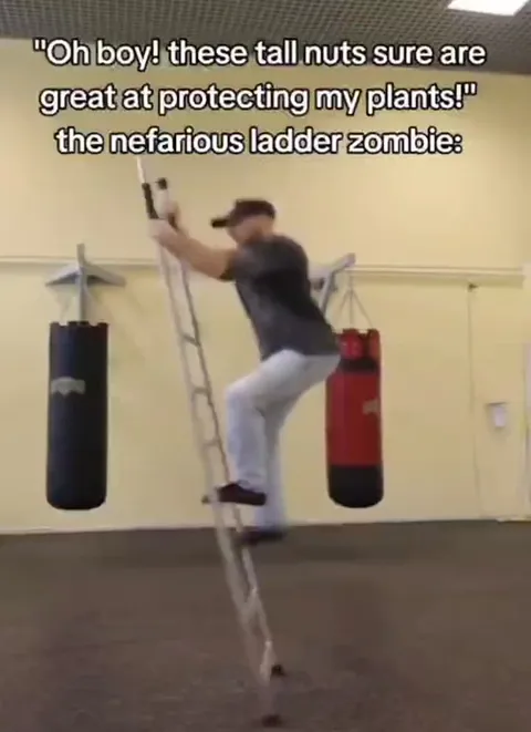 The Nefarious Ladder Zombie