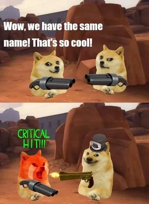 Doge Same Name Critical Hit