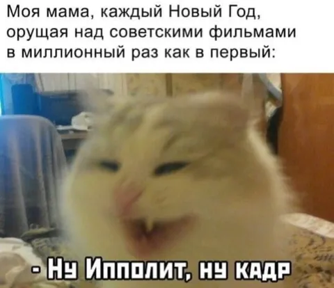Мама снова смотрит Иронию судьбы