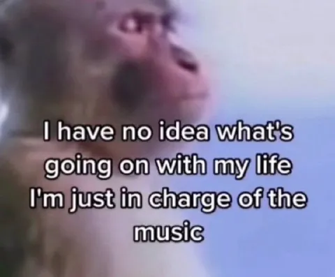 In Charge of the Music