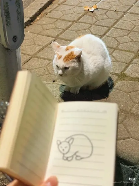 Кот позирует для рисунка