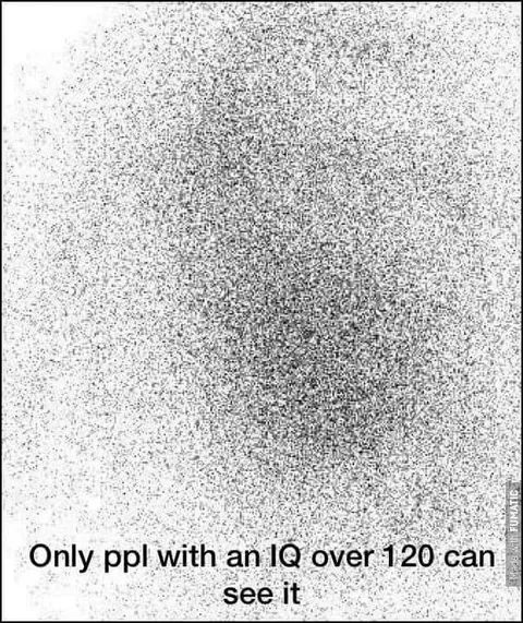 Only High IQ Can See It