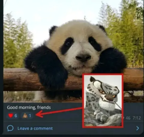 Panda Good Morning Reaction