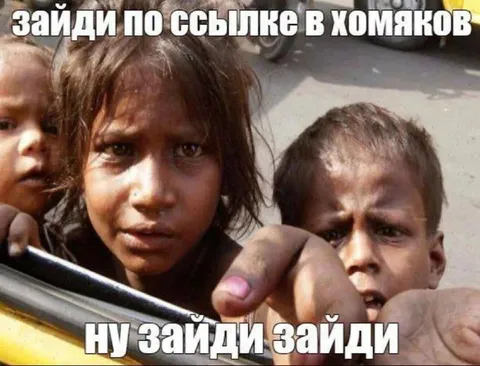 Зайди по ссылке в хомяков