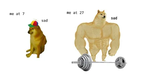 Doge at 7 and 27