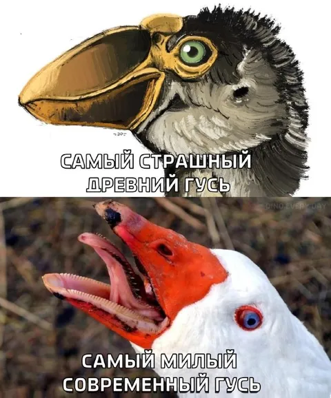 Самый страшный древний гусь