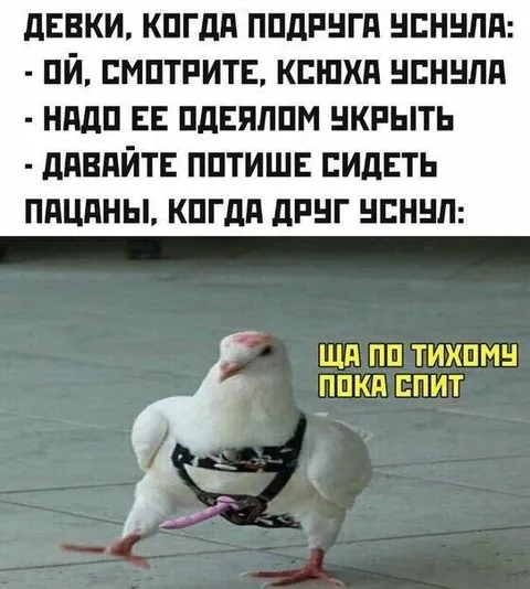 Пацаны, когда друг уснул