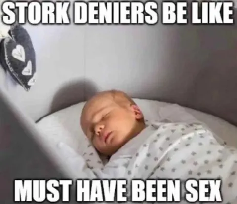 Stork Deniers Be Like