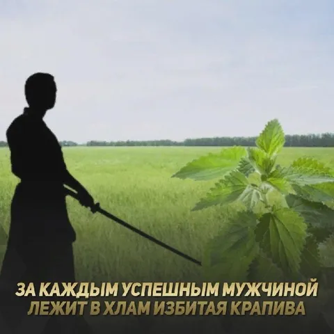 Избитая крапива за успешным мужчиной