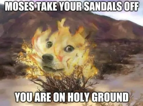 Doge Burning Bush Holy Ground