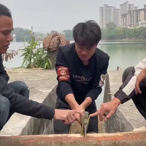 Sword Trick Goes Wrong