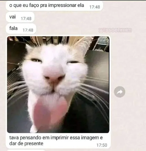 Imprimir foto do gato de presente