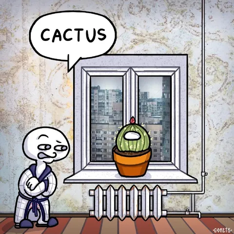 Cactus in the Window
