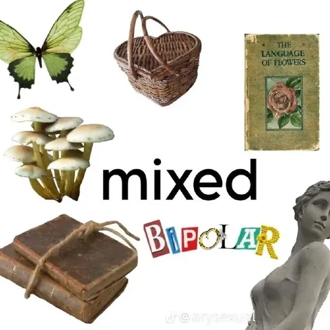 Mixed Bipolar Aesthetic Collage